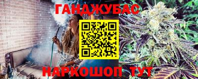 хмурый Гай