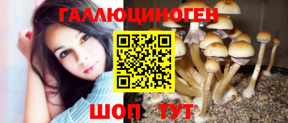 Псилоцибиновые грибы мицелий  Вход с VPN  Муром 